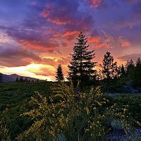 SUMMER EVENING AFTER A STORM (2023)