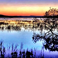 Reflections..
