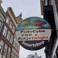 Amsterdam 2