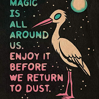 ✨