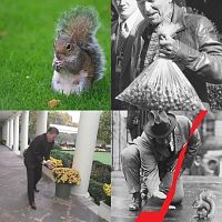 Reagan Playing With 'The Squirrels'.