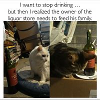 I Want To Stop Drinking...