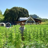 Down on the farm