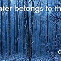 The Winter Belongs To The Night.