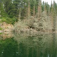 My honey hole for special trout