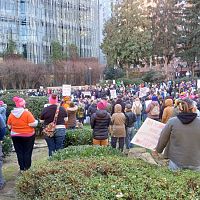 People's Rally 2