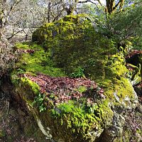 A boulder...