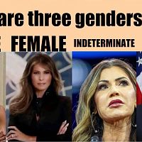 There Are Three Genders Here...