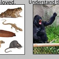 Love The Unloved...