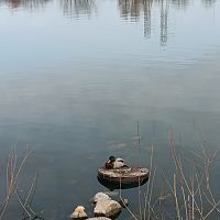 While at the park #1