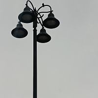While at the park #4
