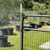 The Garden - April 2025