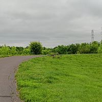 While at the park #11