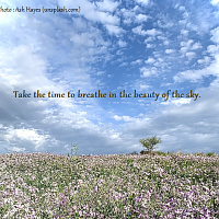 Breathe . . .