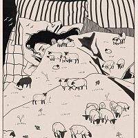 Sheep