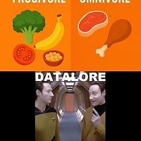 Datalore.