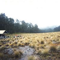 my journey , semeru 2000