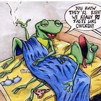 frogs doing pillow talk!