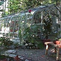 my greenhouse