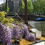 Canal Boat & Flowers