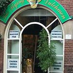 Flying Dutchmen Seed Shop