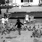 Doves love me