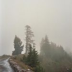 Mist Walk