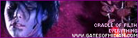 midianbanner